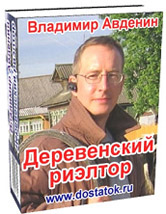 Полную книга деревенский риэлтор